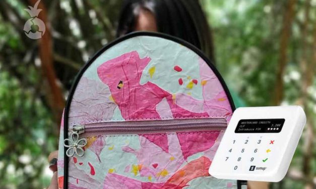 Piña Zero Waste: emprendimiento sustentable