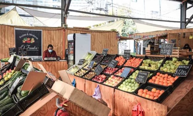 Mercado Macul: transformando el comercio de barrio