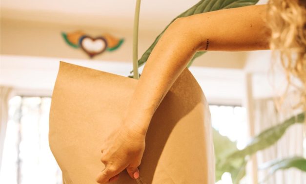 Flor es Ser: el emprendimiento que comenzó con una semilla