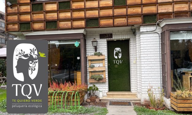 Te Quiero Verde: la estrategia de un negocio fiel a su estilo