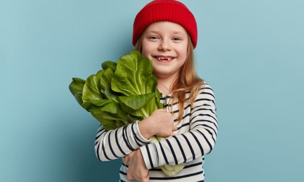BeRoots: Alimentos saludables y mucho más