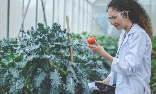 Finaliza convocatoria CORFO para mujeres con visión innovadora