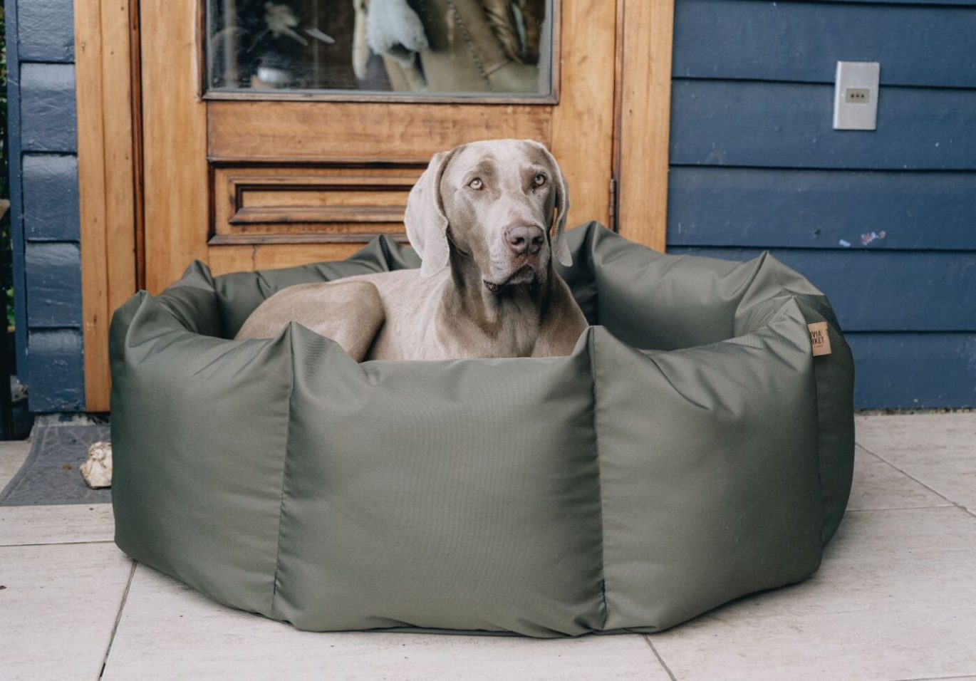 Confort y salud: Camas ortopédicas para mascotas