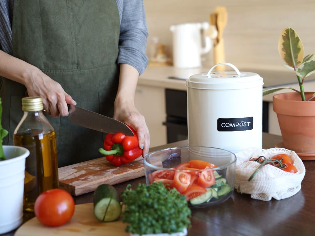 Reciclaje de residuos de vegetales: un proyecto para aportar desde casa