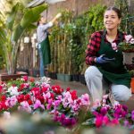 El negocio de las plantas: un mercado que crece y florece