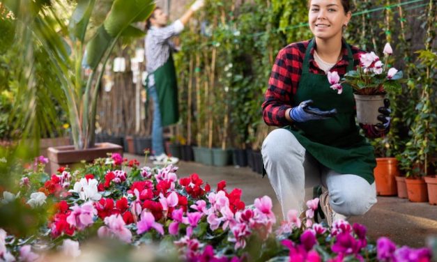 El negocio de las plantas: un mercado que crece y florece