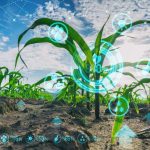 Concurso “Despega tu Emprendimiento” amplía plazo de postulación para Pymes y Startups Agrotech