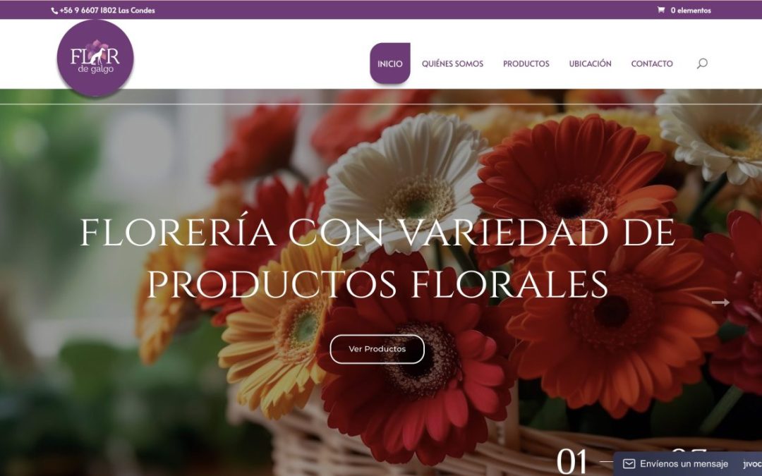 Paratupyme: sitios web con posicionamiento digital orgánico