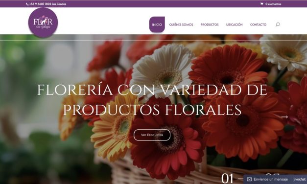Paratupyme: sitios web con posicionamiento digital orgánico
